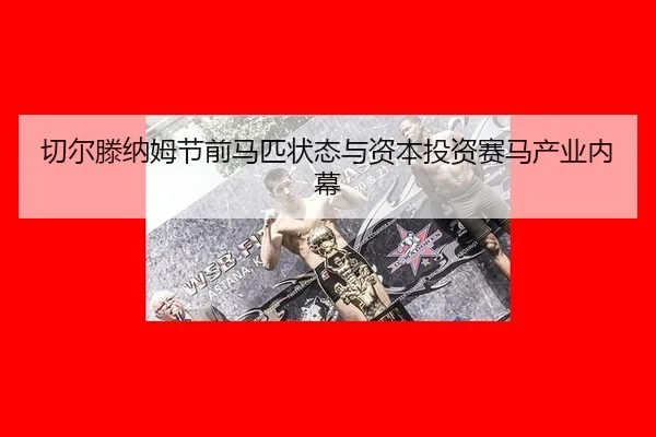 qie-er-teng-na-mu-jie-qian-ma-pi-zhuang-tai-yu-zi-ben-tou-zi-sai-ma-chan-ye-nei-mu-2-626.jpg