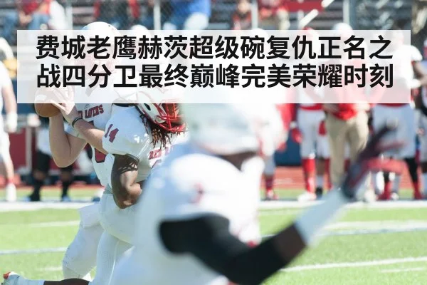 费城老鹰赫茨超级碗复仇正名之战四分卫最终巅峰完美荣耀时刻